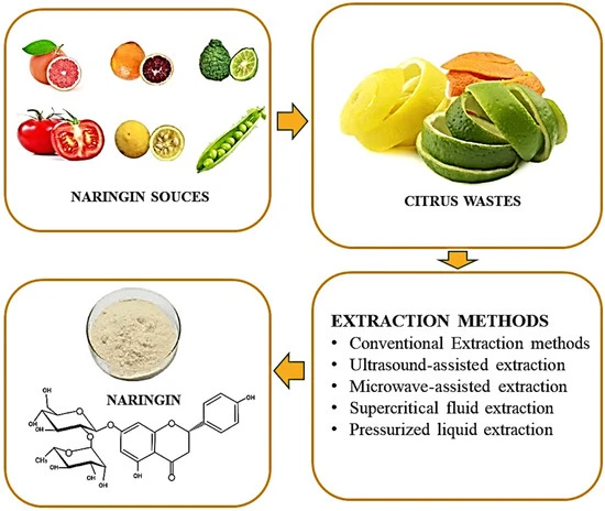 What Are Naringin Supplements Benefits? What Are Naringin Supplements Benefits?