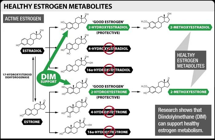 How does diindolylmethane work? How does diindolylmethane work?