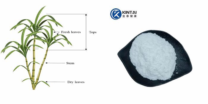 sugarcane polyphenols powder sugarcane polyphenols powder