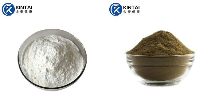 black sesame extract powder black sesame extract powder