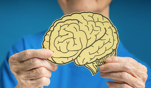 Citicoline For Brain Citicoline For Brain