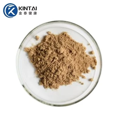 Leinsamenextrakt Flachs Lignan Secoisolariciresinol Diglucosid (SDG) Pulver